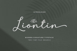 Liontin: A Modern Script Font with Timeless Charm